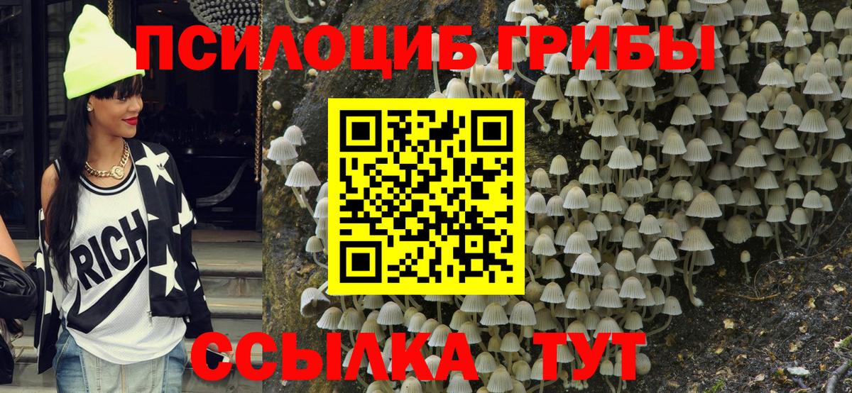Псилоцибиновые грибы Psilocybe Симферополь