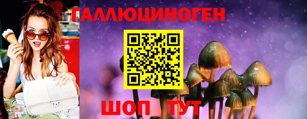 Псилоцибиновые грибы Psilocybe  Вход с VPN  Симферополь 